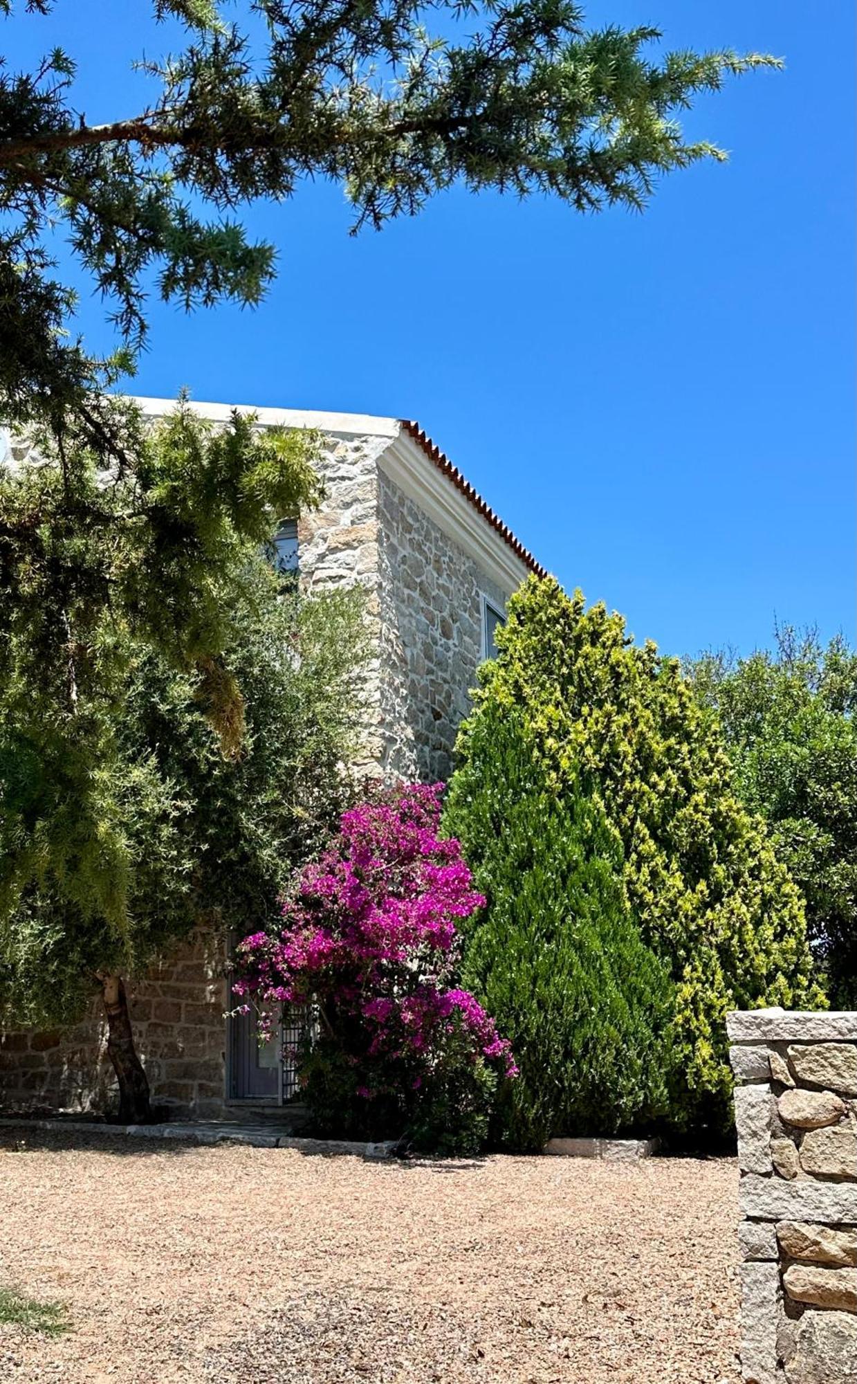 Villa Maria Cristina Santa Teresa Gallura Exterior photo